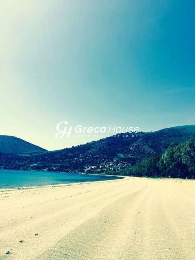 Πολυτελής Μονοκατοικία 210 τ.μ. με Θέα Θάλασσα στα Στύρα Ευβοίας – 200μ. από την Παραλία - Φωτογραφία 24