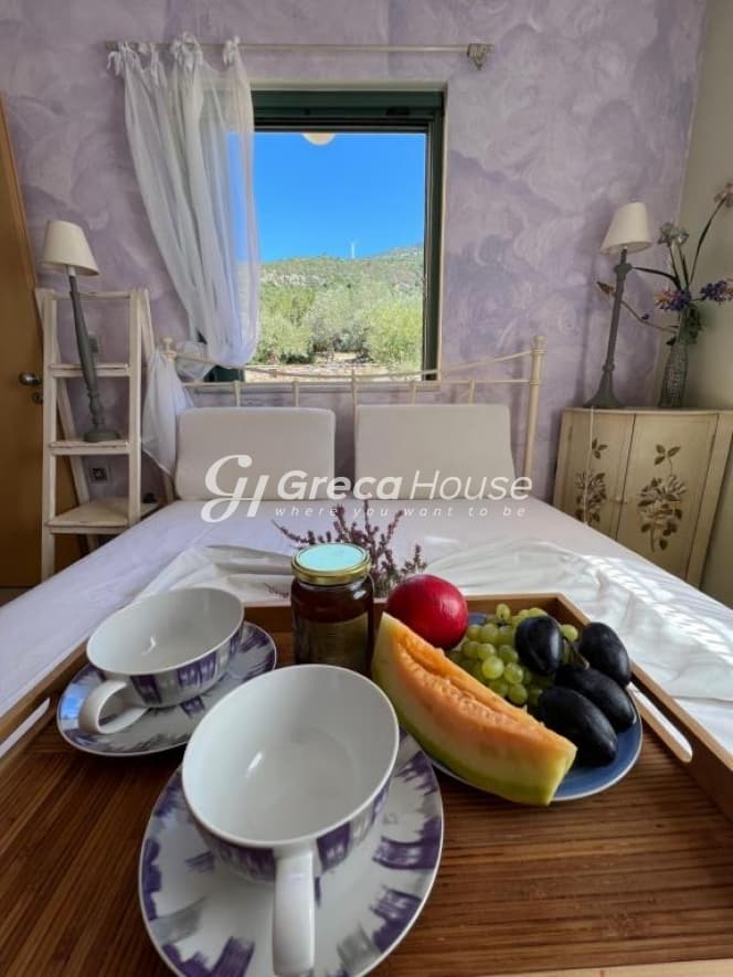 Πολυτελής Παραθαλάσσια Βίλα 250 τ.μ. στο Μαρμάρι Ευβοίας με Άμεση Πρόσβαση σε Αμμώδη Παραλία - Φωτογραφία 12