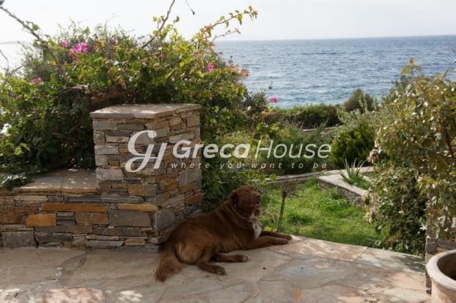 Πολυτελής Παραθαλάσσια Βίλα 250 τ.μ. στο Μαρμάρι Ευβοίας με Άμεση Πρόσβαση σε Αμμώδη Παραλία - Φωτογραφία 41