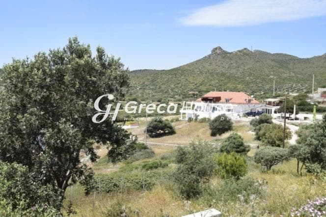 Beachfront Hotel for Sale in Sounio – Unique Location, Direct Sea Access - Photo 36