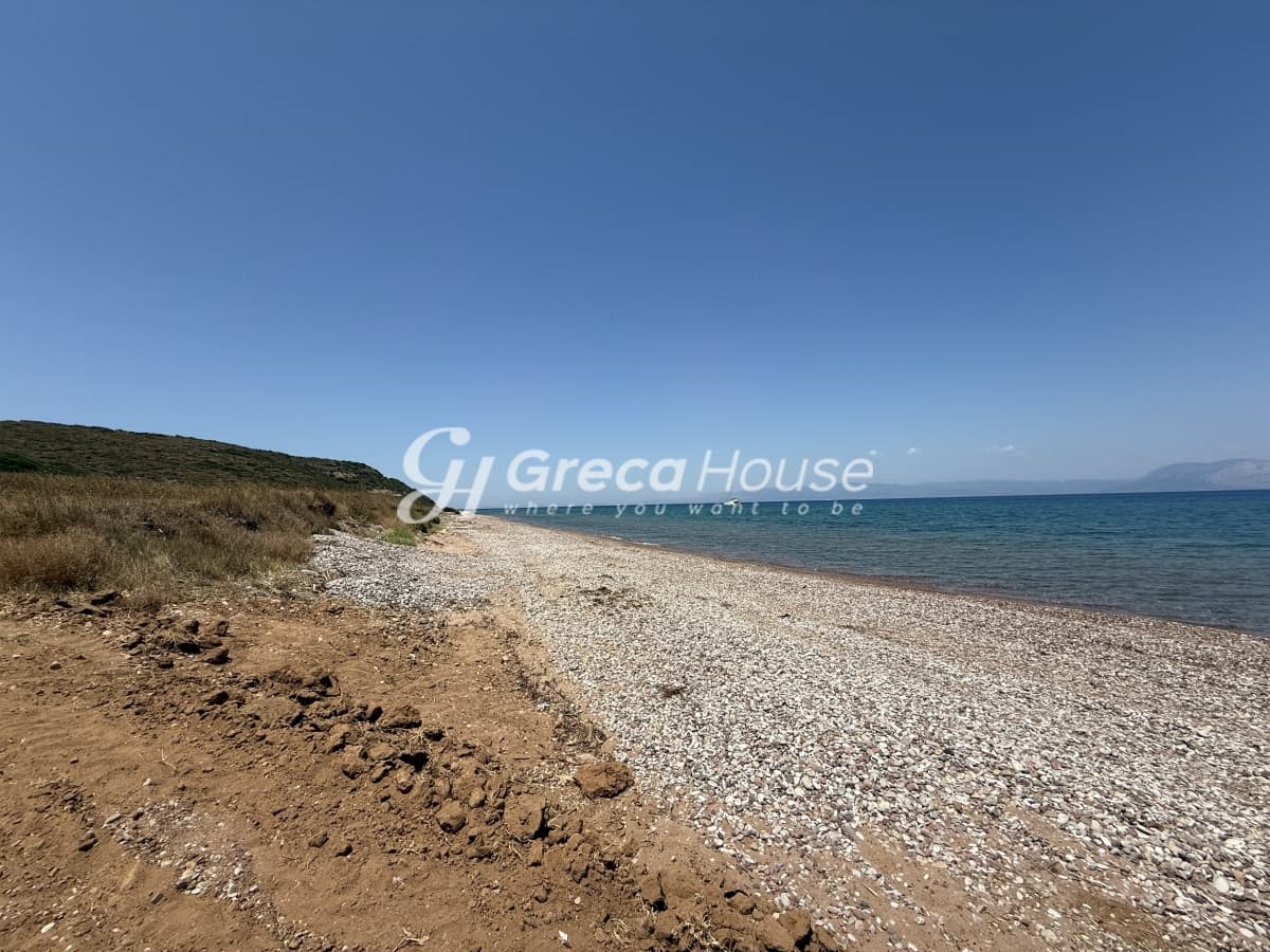 Παραθαλάσσιο Οικόπεδο 96 στρ. στην Αχαΐα – Ιδανικό για Τουριστική Ανάπτυξη ή Κατασκευή Βιλών - Φωτογραφία 44