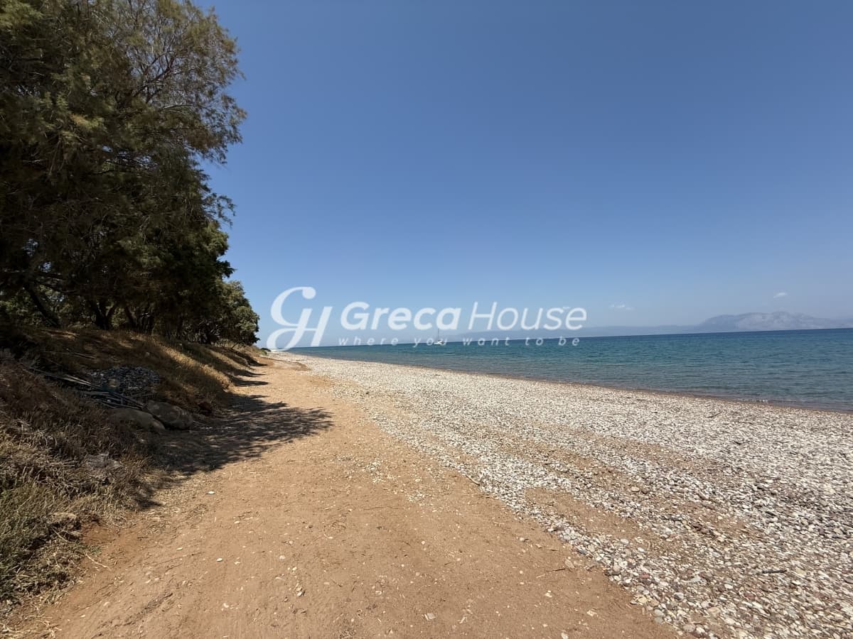 Παραθαλάσσιο Οικόπεδο 96 στρ. στην Αχαΐα – Ιδανικό για Τουριστική Ανάπτυξη ή Κατασκευή Βιλών - Φωτογραφία 19