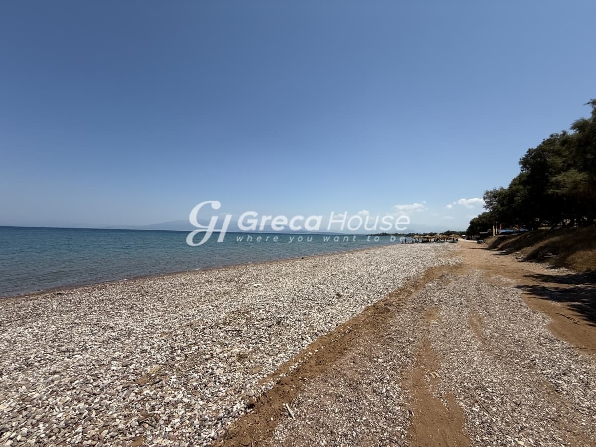 Παραθαλάσσιο Οικόπεδο 96 στρ. στην Αχαΐα – Ιδανικό για Τουριστική Ανάπτυξη ή Κατασκευή Βιλών - Φωτογραφία 48