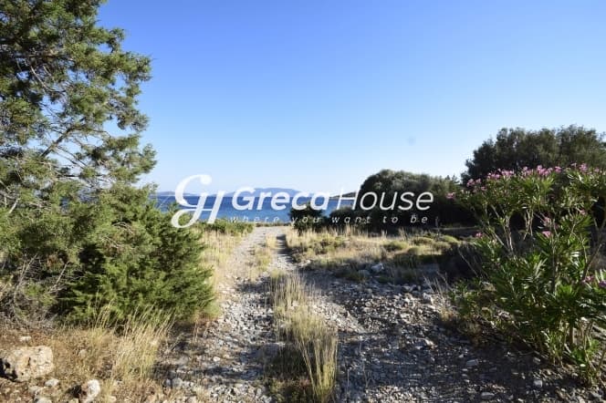 Εύβοια, Μαρμάρι: Οικόπεδο 31.000τ.μ. Παραθαλάσσιο για Πολυτελείς Βίλες ή Ξενοδοχείο - Φωτογραφία 5