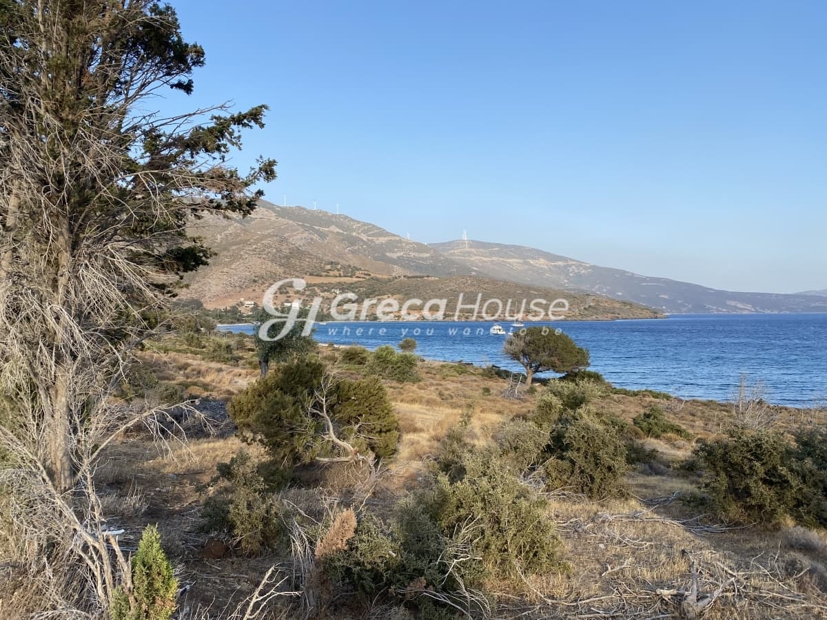 Εύβοια, Μαρμάρι: Οικόπεδο 31.000τ.μ. Παραθαλάσσιο για Πολυτελείς Βίλες ή Ξενοδοχείο - Φωτογραφία 41