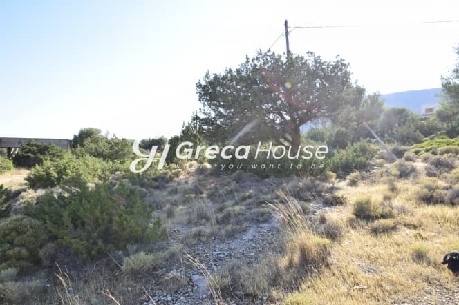 Εύβοια, Μαρμάρι: Οικόπεδο 31.000τ.μ. Παραθαλάσσιο για Πολυτελείς Βίλες ή Ξενοδοχείο - Φωτογραφία 21