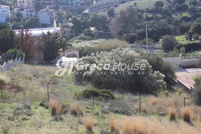 Προνομιακό Οικόπεδο 1350 τ.μ. στην Ανάβυσσο, Αττική - Φωτογραφία 3