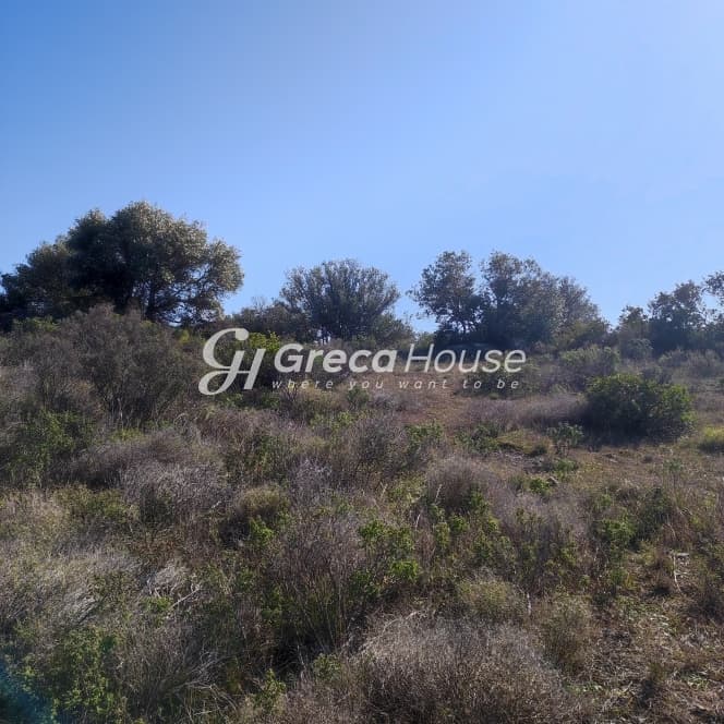 מגרש חוף למכירה באגם ווליאגמני, לוטראקי-פראחורה - תמונה 30
