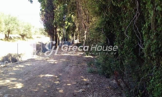 מגרש בנייה שטוח למכירה באפידאורוס העתיקה, ארגולידה - תמונה 2