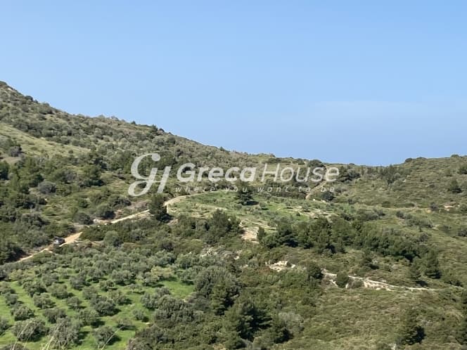 Απαράμιλλη Επένδυση: 240.000τ.μ. Οικόπεδο με Θέα Θάλασσα στην Κύμη-Οξύλιθο, Εύβοια - Φωτογραφία 34