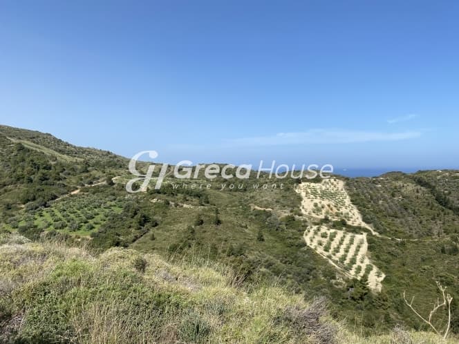 Απαράμιλλη Επένδυση: 240.000τ.μ. Οικόπεδο με Θέα Θάλασσα στην Κύμη-Οξύλιθο, Εύβοια - Φωτογραφία 28
