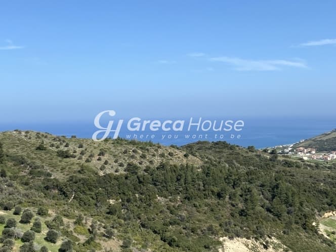 Απαράμιλλη Επένδυση: 240.000τ.μ. Οικόπεδο με Θέα Θάλασσα στην Κύμη-Οξύλιθο, Εύβοια - Φωτογραφία 9