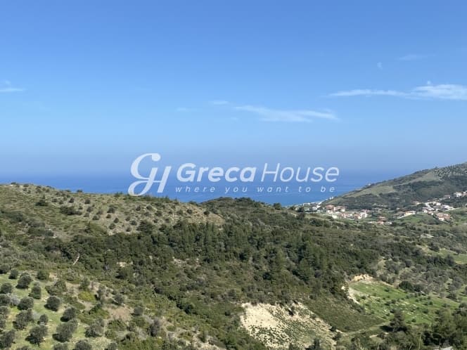 Απαράμιλλη Επένδυση: 240.000τ.μ. Οικόπεδο με Θέα Θάλασσα στην Κύμη-Οξύλιθο, Εύβοια - Φωτογραφία 16