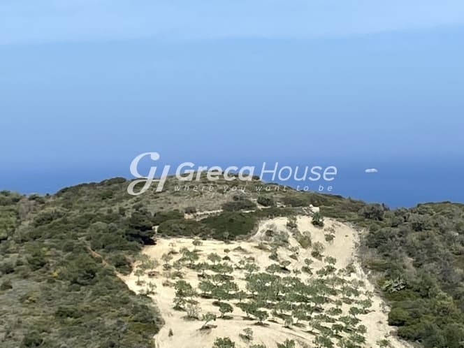 Απαράμιλλη Επένδυση: 240.000τ.μ. Οικόπεδο με Θέα Θάλασσα στην Κύμη-Οξύλιθο, Εύβοια - Φωτογραφία 12