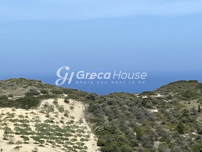 Απαράμιλλη Επένδυση: 240.000τ.μ. Οικόπεδο με Θέα Θάλασσα στην Κύμη-Οξύλιθο, Εύβοια - Φωτογραφία 2