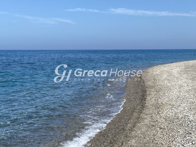 Απαράμιλλη Επένδυση: 240.000τ.μ. Οικόπεδο με Θέα Θάλασσα στην Κύμη-Οξύλιθο, Εύβοια - Φωτογραφία 15