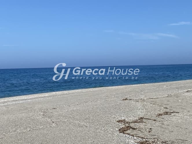 Απαράμιλλη Επένδυση: 240.000τ.μ. Οικόπεδο με Θέα Θάλασσα στην Κύμη-Οξύλιθο, Εύβοια - Φωτογραφία 4