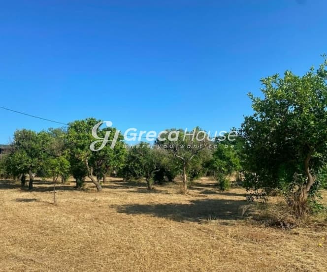 מגרש בנייה פרימיום ליד הים 7,585 מ"ר בארטריה, אוויה - תמונה 2
