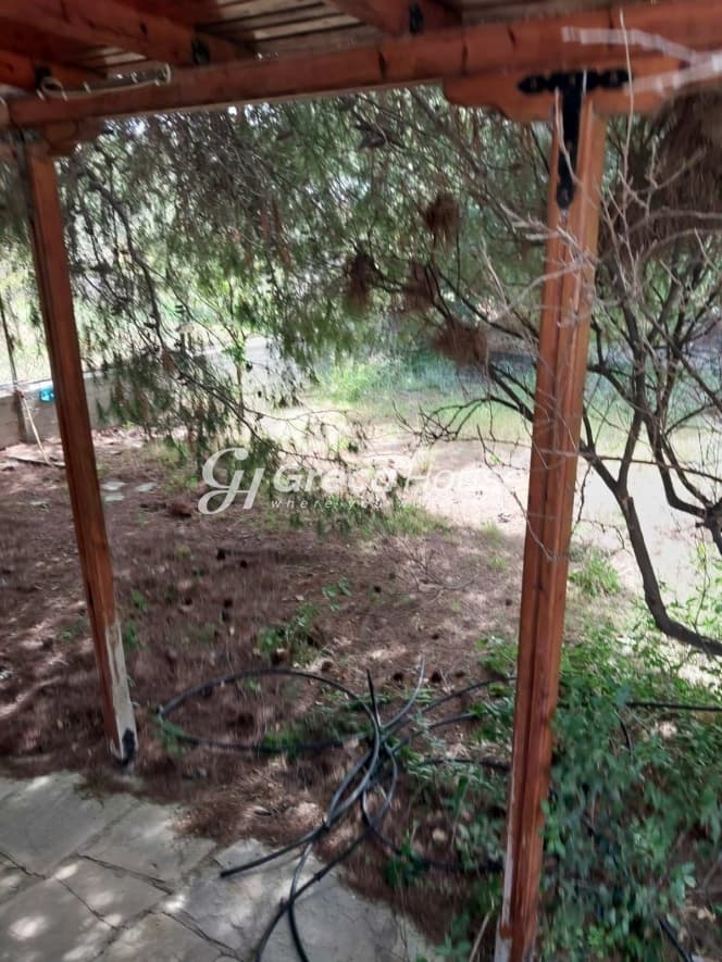 מזונט עם סטודיו נפרד ונוף בלתי מוגבל למכירה בסרונידה - תמונה 21