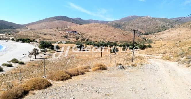 Παραθαλάσσιο Αγροτεμάχιο Υψηλού Δυναμικού στην Πλατανιστό, Εύβοια - Φωτογραφία 3