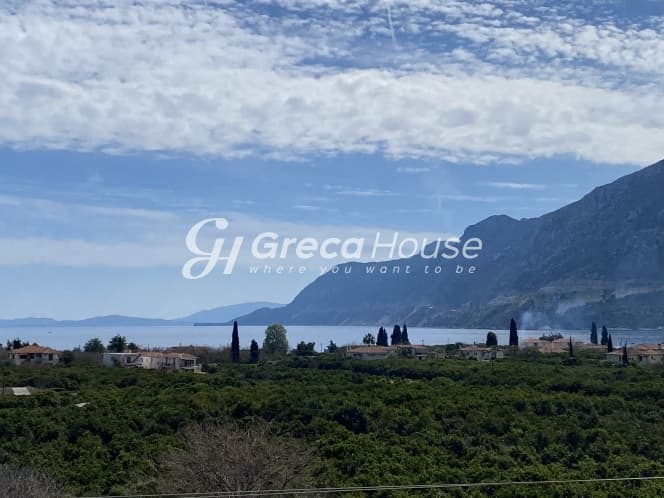 Ξενοδοχειακή Μονάδα Προς Πώληση στην Αρχαία Επίδαυρο – Επενδυτική Ευκαιρία με Θέα Θάλασσα - Φωτογραφία 4