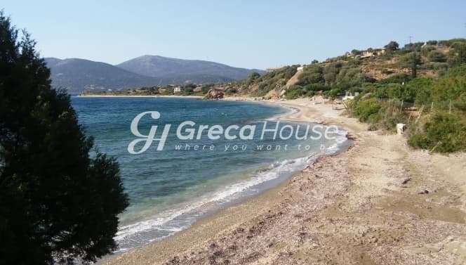 Οικοδομήσιμο Παραθαλάσσιο Οικόπεδο 21.000 τ.μ. με Διώροφη Κατοικία στα Στύρα – Επενδυτική Ευκαιρία - Φωτογραφία 1