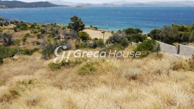 Οικοδομήσιμο Παραθαλάσσιο Οικόπεδο 21.000 τ.μ. με Διώροφη Κατοικία στα Στύρα – Επενδυτική Ευκαιρία - Φωτογραφία 7