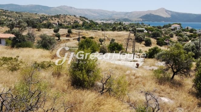 Οικοδομήσιμο Παραθαλάσσιο Οικόπεδο 21.000 τ.μ. με Διώροφη Κατοικία στα Στύρα – Επενδυτική Ευκαιρία - Φωτογραφία 11