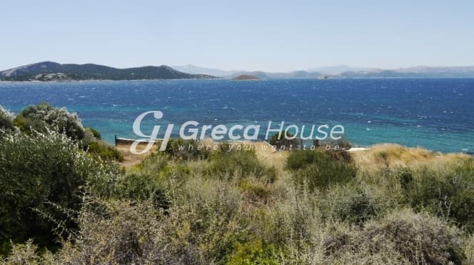 Οικοδομήσιμο Παραθαλάσσιο Οικόπεδο 21.000 τ.μ. με Διώροφη Κατοικία στα Στύρα – Επενδυτική Ευκαιρία - Φωτογραφία 2