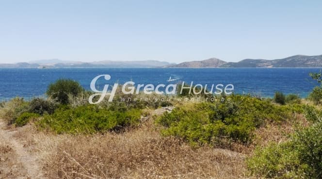 Οικοδομήσιμο Παραθαλάσσιο Οικόπεδο 21.000 τ.μ. με Διώροφη Κατοικία στα Στύρα – Επενδυτική Ευκαιρία - Φωτογραφία 10