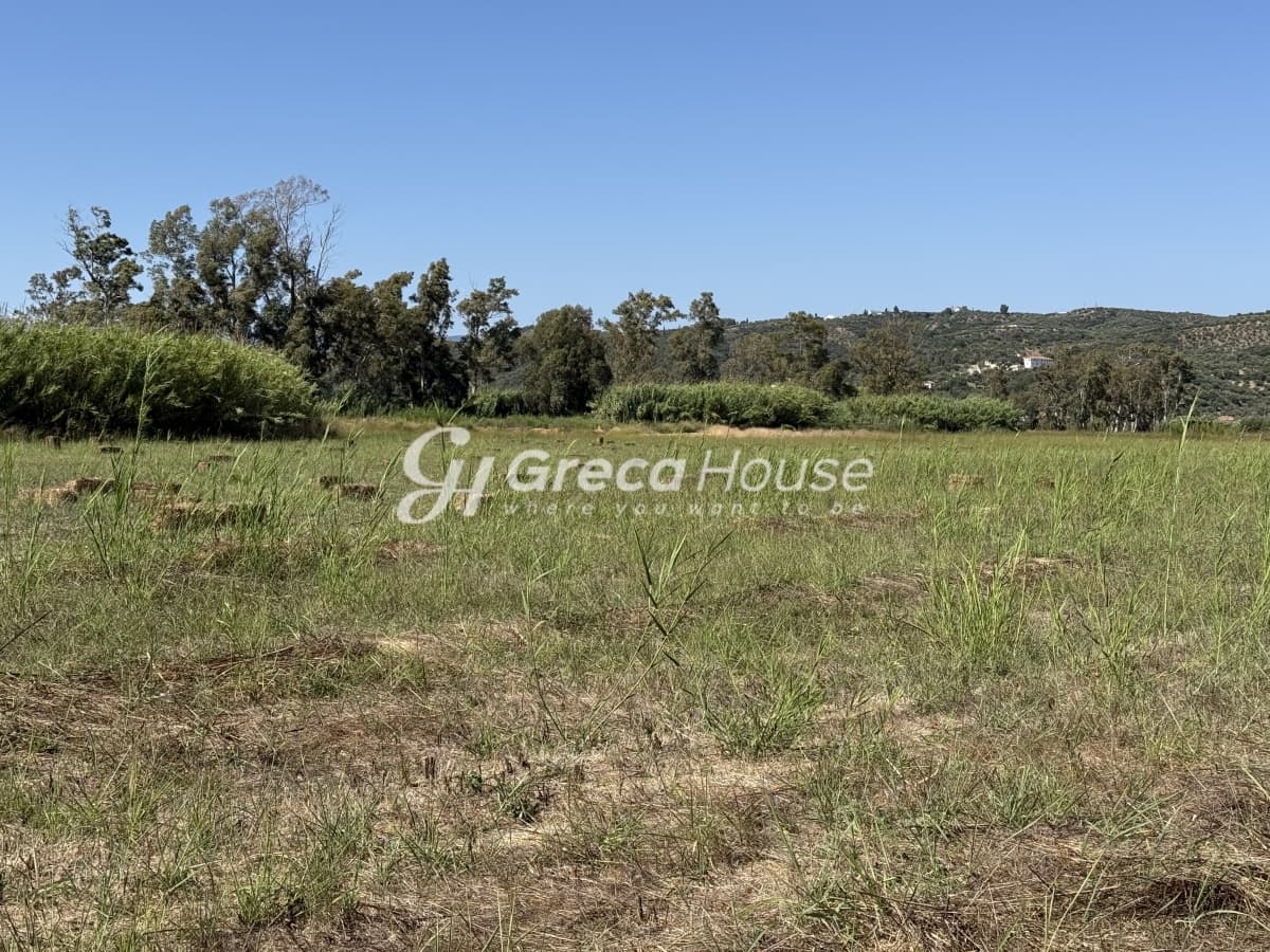 Οικοδομήσιμο Παραθαλάσσιο Οικόπεδο 96.770 τ.μ. στη Γιάλοβα, Πύλος – Ιδανική Επενδυτική Ευκαιρία - Φωτογραφία 44