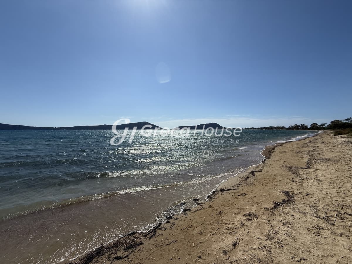 Οικοδομήσιμο Παραθαλάσσιο Οικόπεδο 96.770 τ.μ. στη Γιάλοβα, Πύλος – Ιδανική Επενδυτική Ευκαιρία - Φωτογραφία 31