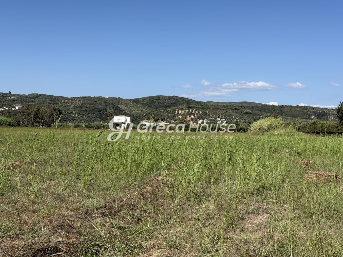 Οικοδομήσιμο Παραθαλάσσιο Οικόπεδο 96.770 τ.μ. στη Γιάλοβα, Πύλος – Ιδανική Επενδυτική Ευκαιρία - Φωτογραφία 8