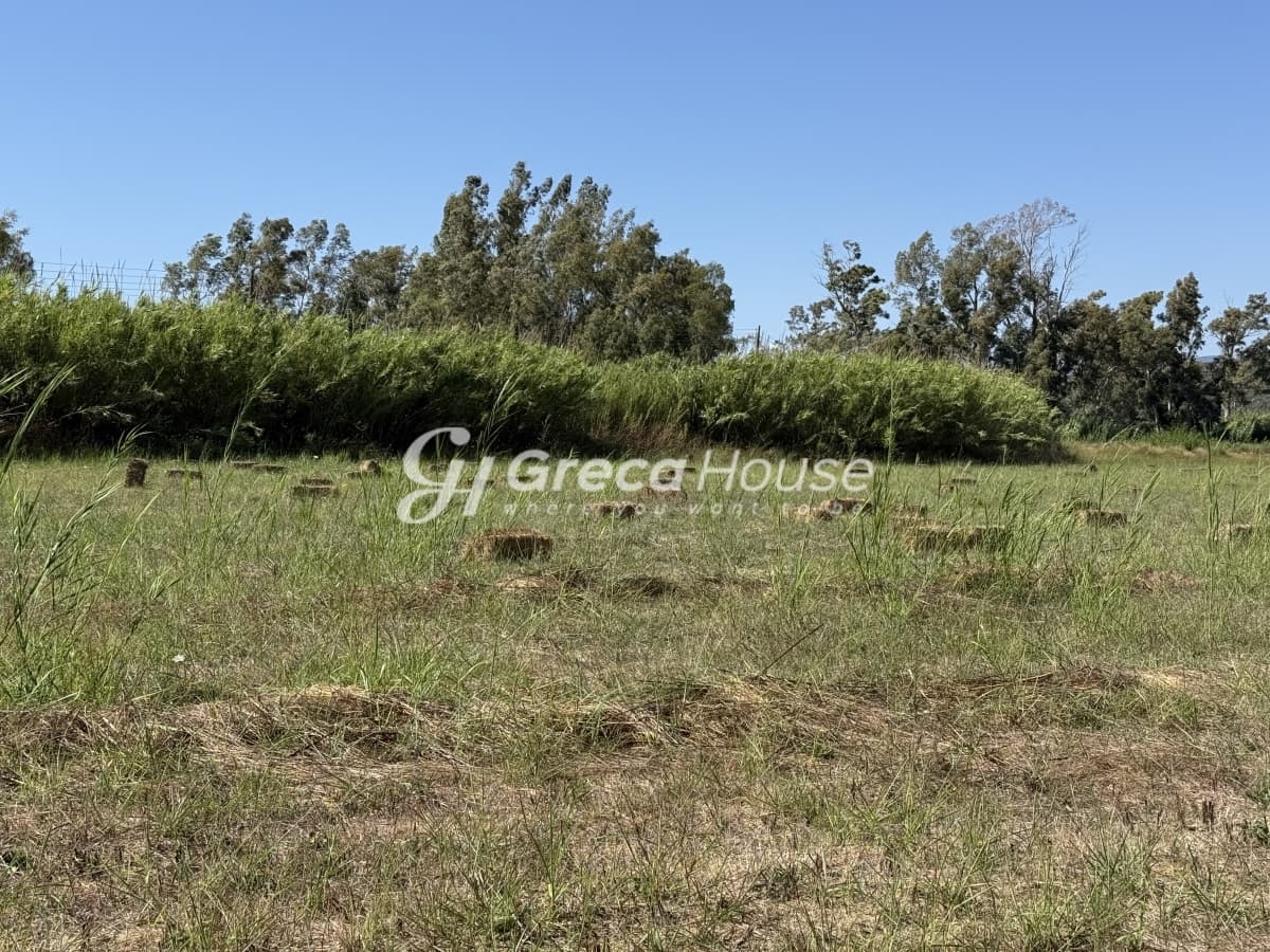 Οικοδομήσιμο Παραθαλάσσιο Οικόπεδο 96.770 τ.μ. στη Γιάλοβα, Πύλος – Ιδανική Επενδυτική Ευκαιρία - Φωτογραφία 40