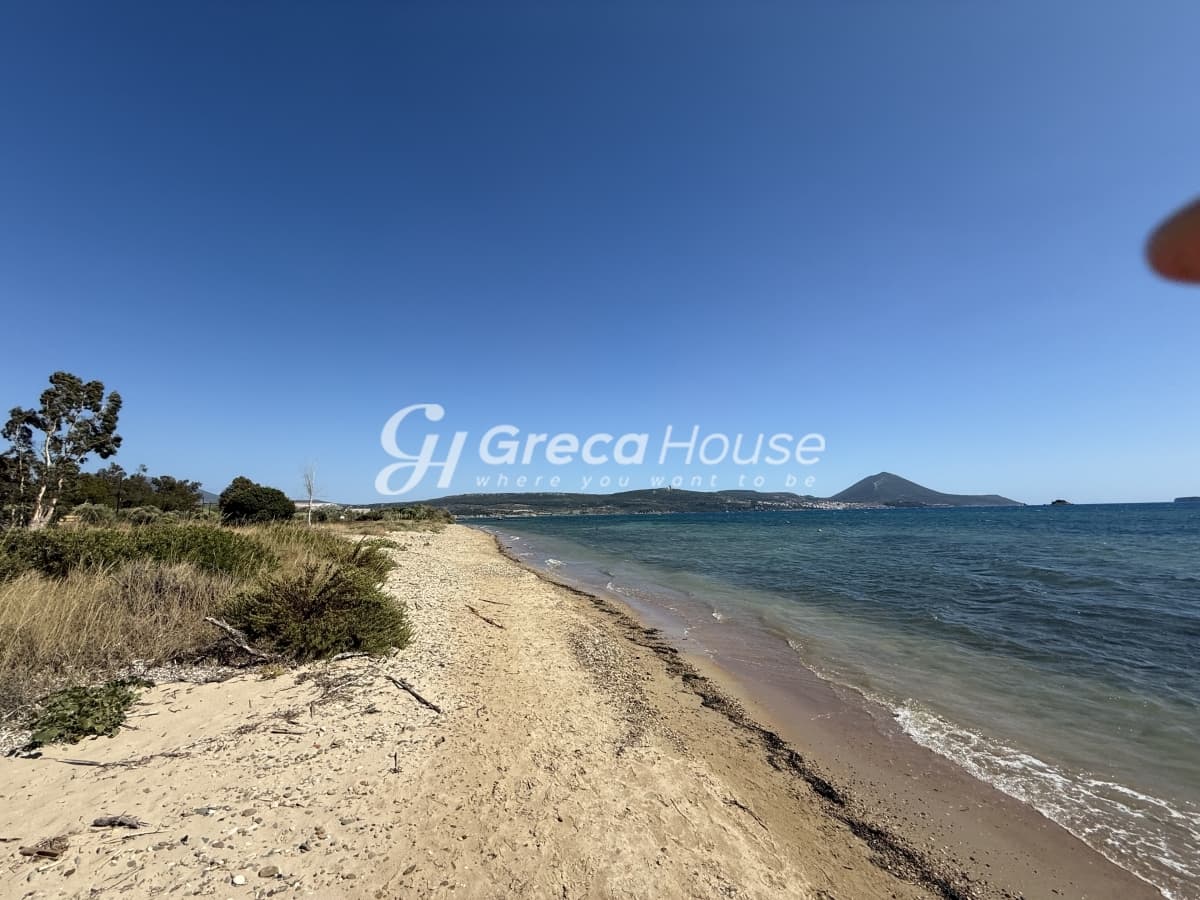 Οικοδομήσιμο Παραθαλάσσιο Οικόπεδο 96.770 τ.μ. στη Γιάλοβα, Πύλος – Ιδανική Επενδυτική Ευκαιρία - Φωτογραφία 7