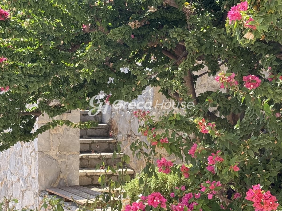 فيلا على شاطئ البحر للبيع في إبيداوروس القديمة – مؤهلة للفيزا الذهبية - صورة 24