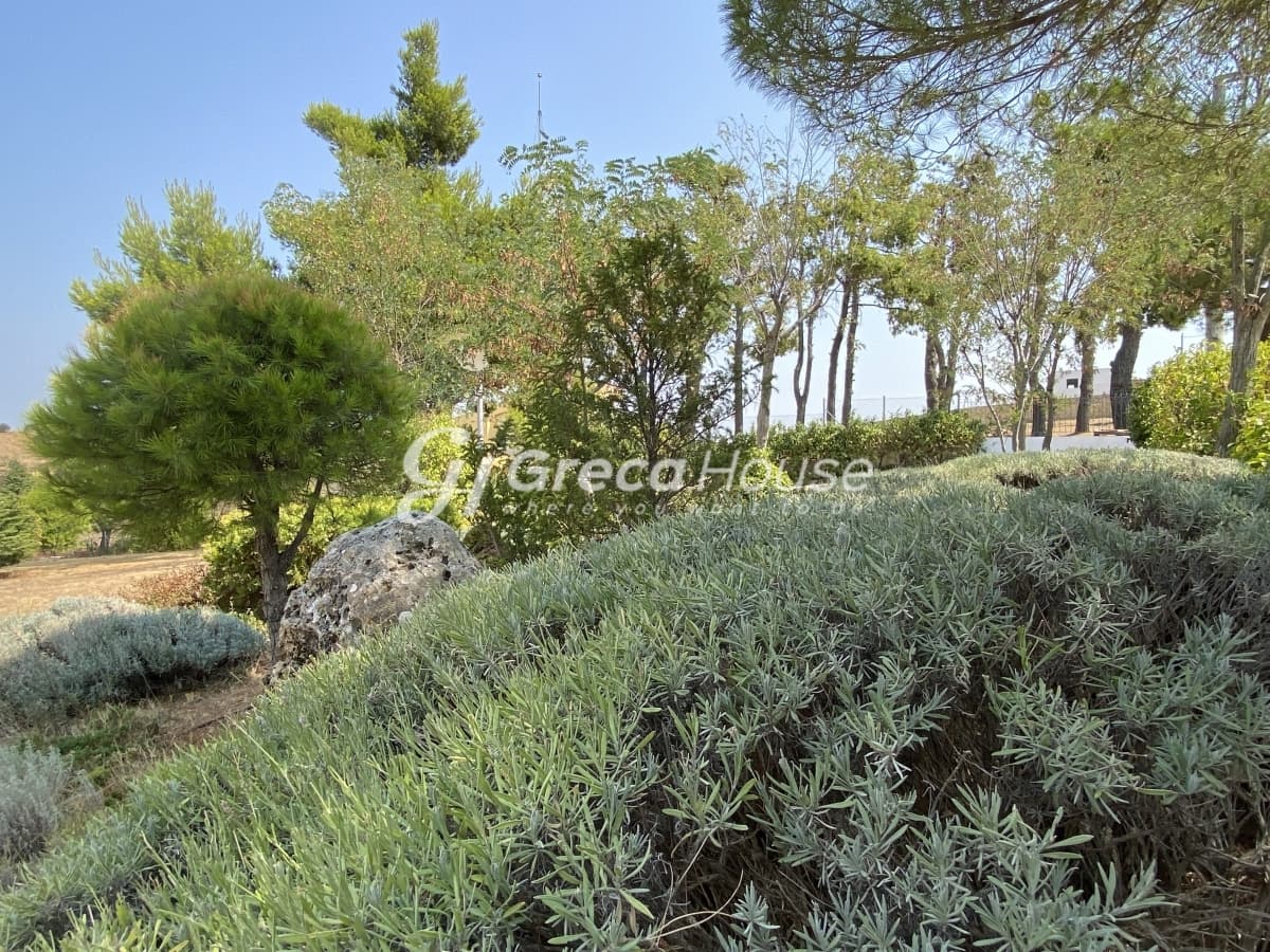 Unique Luxury Villa with Expansive Plot near Athens. An Investment Opportunity in Attica - Photo 34