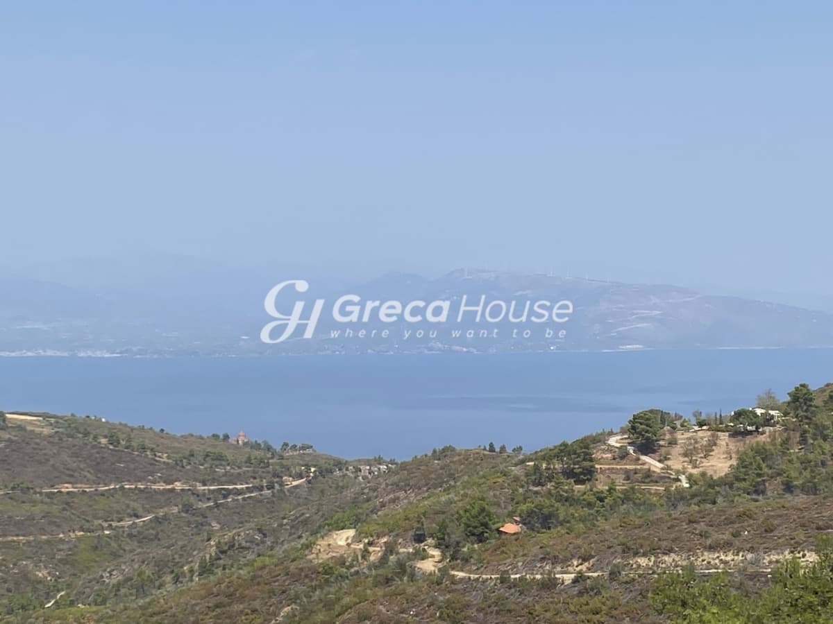 Unique Luxury Villa with Expansive Plot near Athens. An Investment Opportunity in Attica - Photo 24
