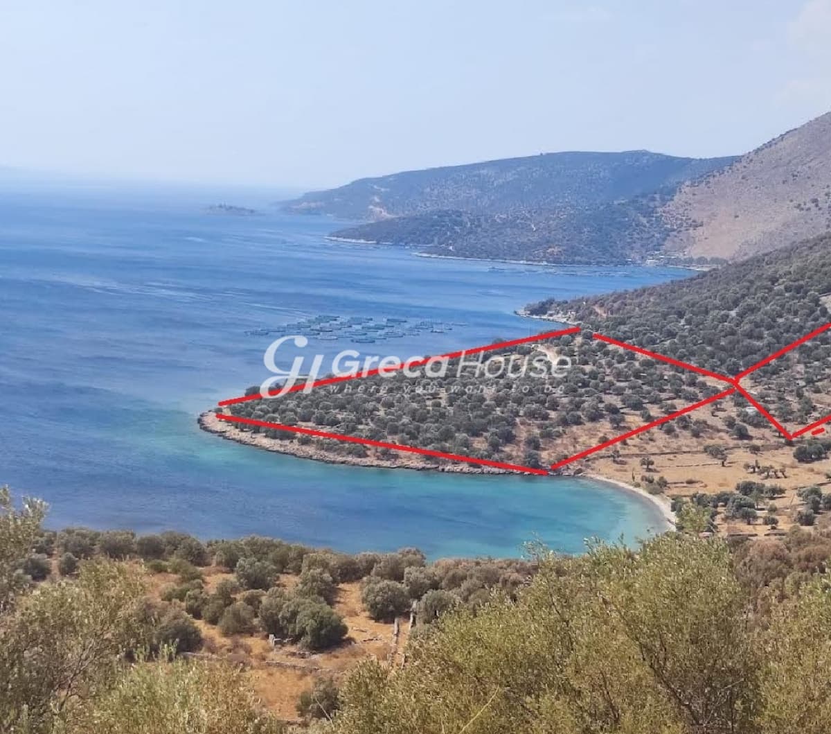 أرض شبه جزيرة نادرة بمساحة 32,000 متر مربع في إيفيا مع تراخيص بناء فلل فاخرة - صورة 1