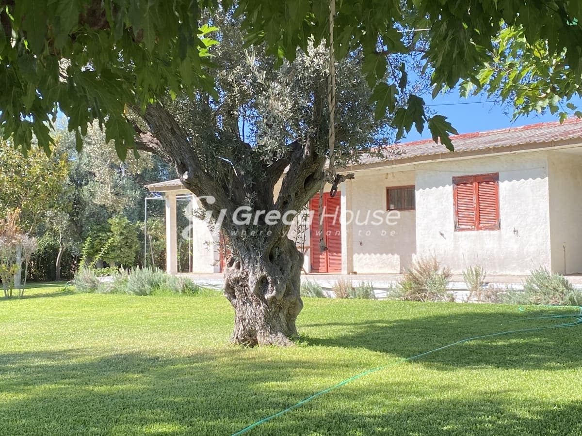 Beachfront Investment Opportunity in Agios Andreas, Eretria, Evia - Photo 5