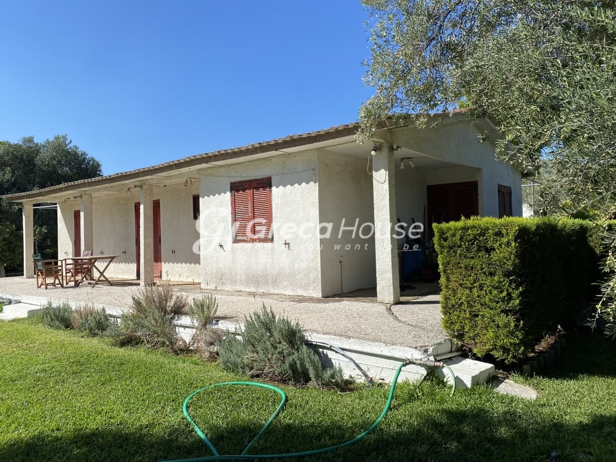 Beachfront Investment Opportunity in Agios Andreas, Eretria, Evia - Photo 33