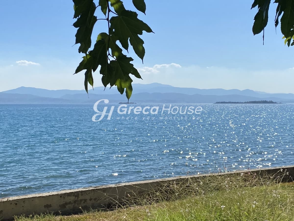 Beachfront Investment Opportunity in Agios Andreas, Eretria, Evia - Photo 17