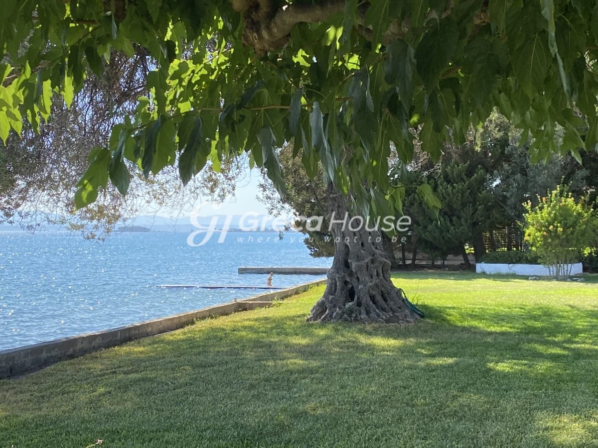 Beachfront Investment Opportunity in Agios Andreas, Eretria, Evia - Photo 24