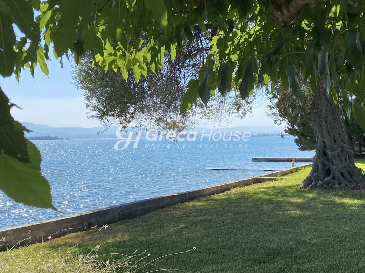 Beachfront Investment Opportunity in Agios Andreas, Eretria, Evia - Photo 9