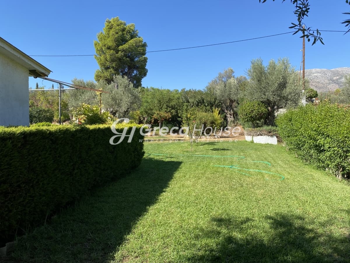 Beachfront Investment Opportunity in Agios Andreas, Eretria, Evia - Photo 8