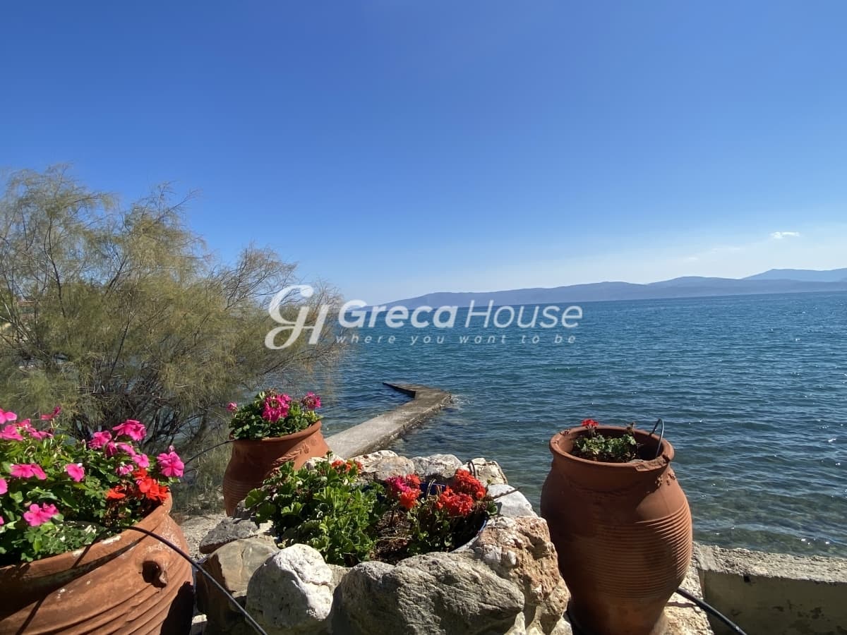 Beachfront Investment Opportunity in Agios Andreas, Eretria, Evia - Photo 4