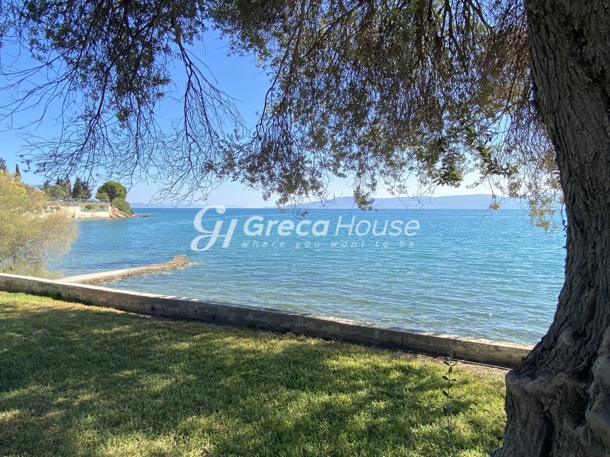 Beachfront Investment Opportunity in Agios Andreas, Eretria, Evia - Photo 7