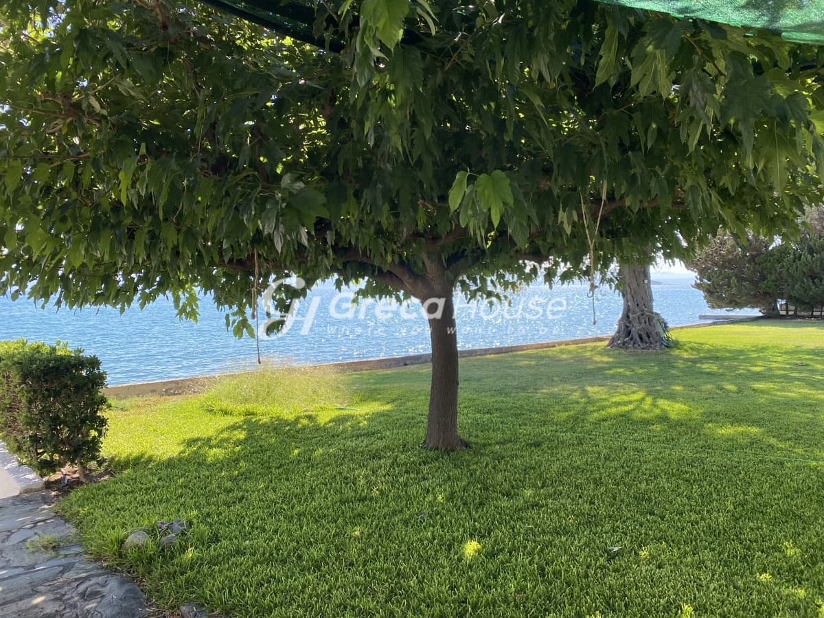 Beachfront Investment Opportunity in Agios Andreas, Eretria, Evia - Photo 32