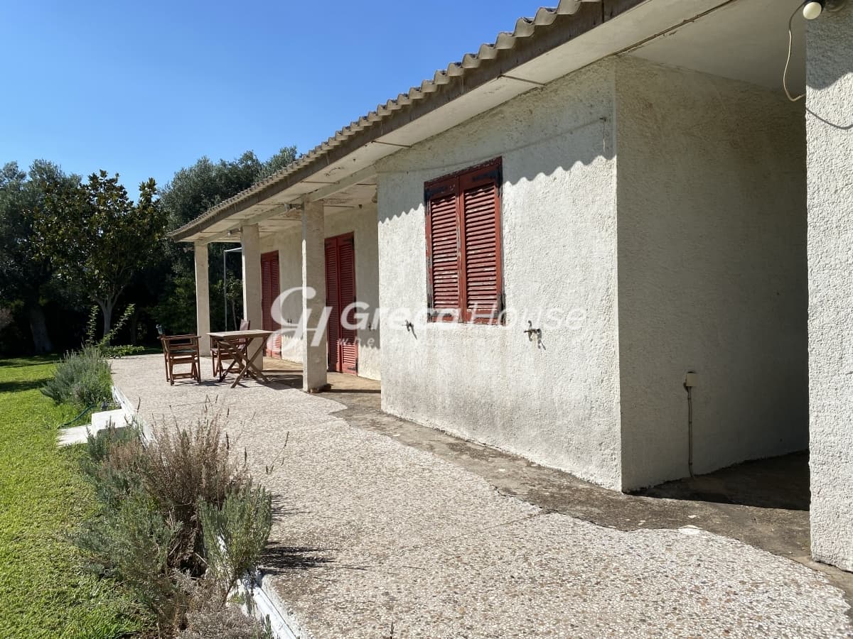 Beachfront Investment Opportunity in Agios Andreas, Eretria, Evia - Photo 37