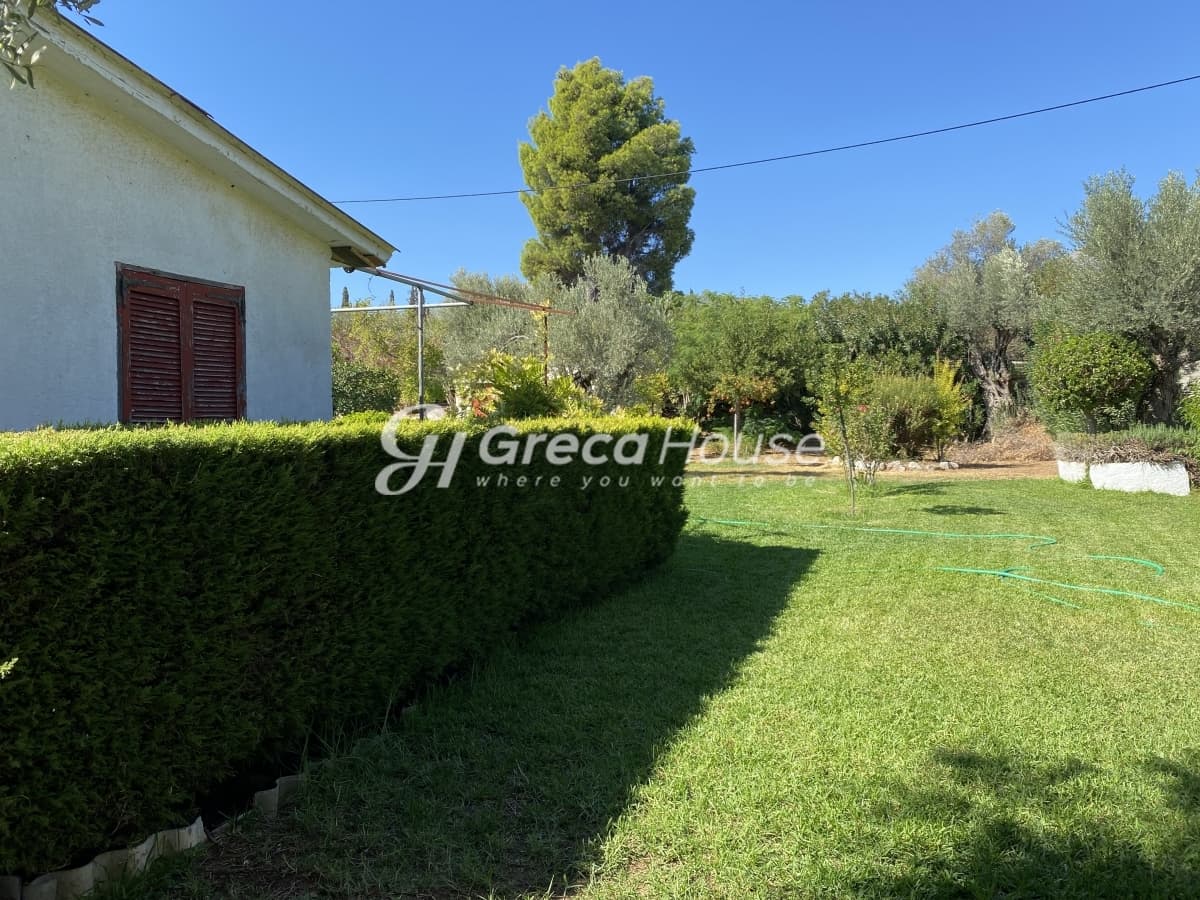 Beachfront Investment Opportunity in Agios Andreas, Eretria, Evia - Photo 39